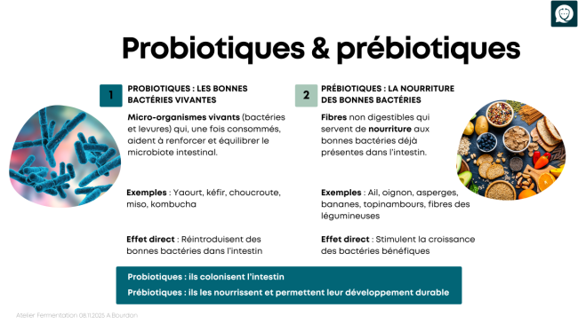 Replay - Atelier de cuisine sur les lactofermentés
