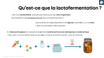 Replay - Atelier de cuisine sur les lactofermentés